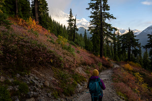 Autumn arrives at the Gargoyles.