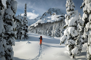 Whistler Backcountry Photographer