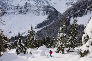 Whistler Backcountry Photography