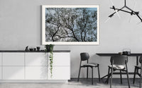 Best forest themed art for home and office