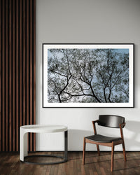 Beautiful fine art for your home and office