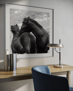 Mother and foal fine art ships in USA and Canada.