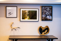 Fine art photography of the Coast Mountains for hotels and resorts