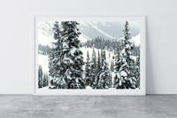 Wendy Thompson Hut, Marriott Basin - Hut and cabin wall art