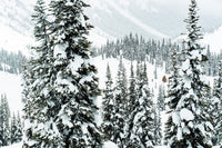 Wendy Thompson Hut, Deuffey Lake Road - Limited edition fine art landscape photography